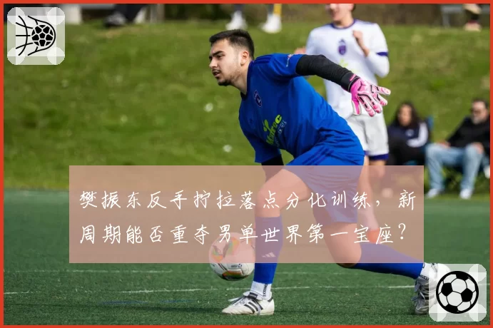 樊振东反手拧拉落点分化训练,新周期能否重夺男单世界第一宝座?