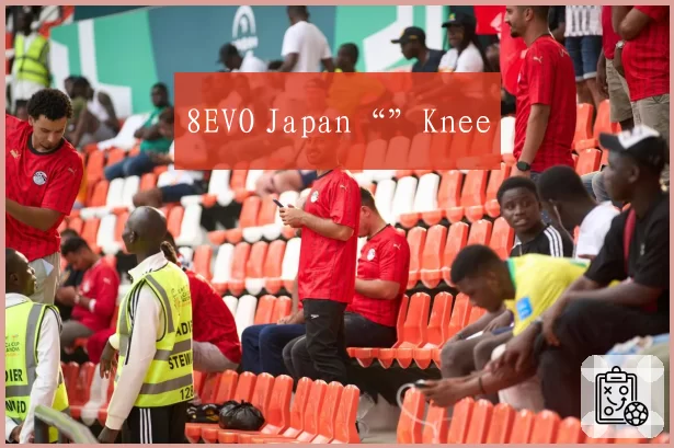 8EVO Japan“”Knee