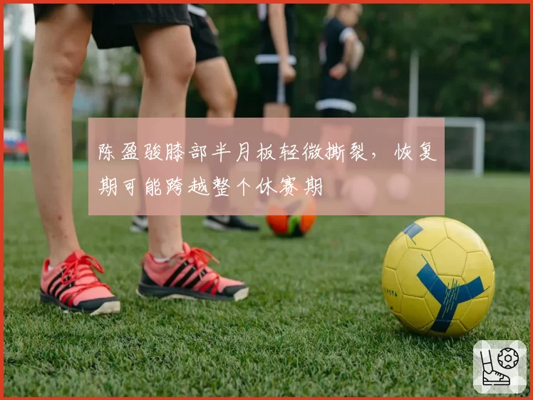 陈盈骏膝部半月板轻微撕裂,恢复期可能跨越整个休赛期